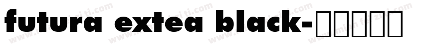 futura extea black字体转换